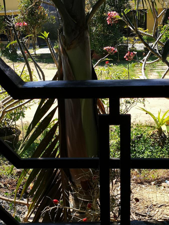 Cam Nam Homestay Hoi An Dış mekan fotoğraf