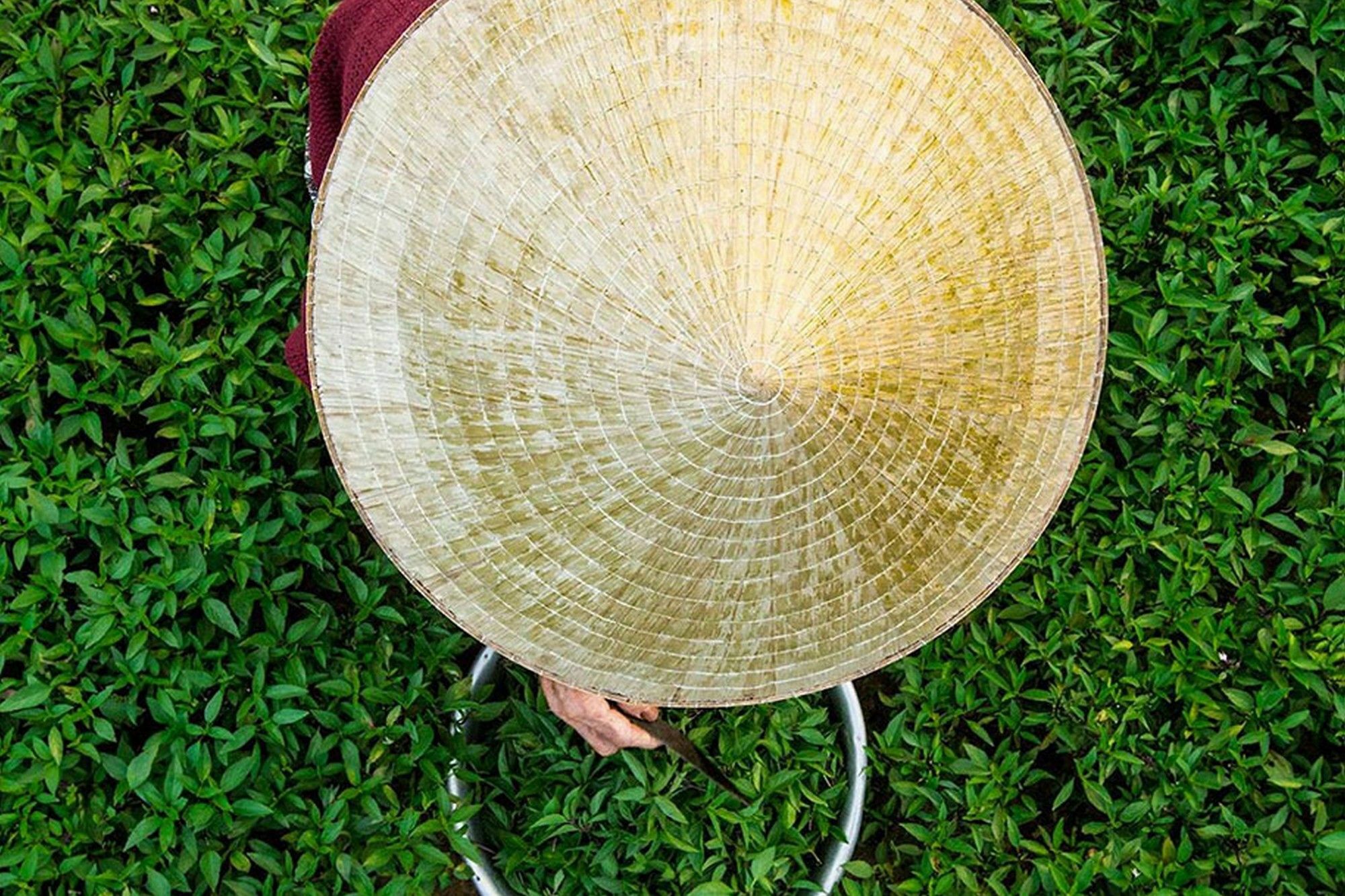 Cam Nam Homestay Hoi An Dış mekan fotoğraf