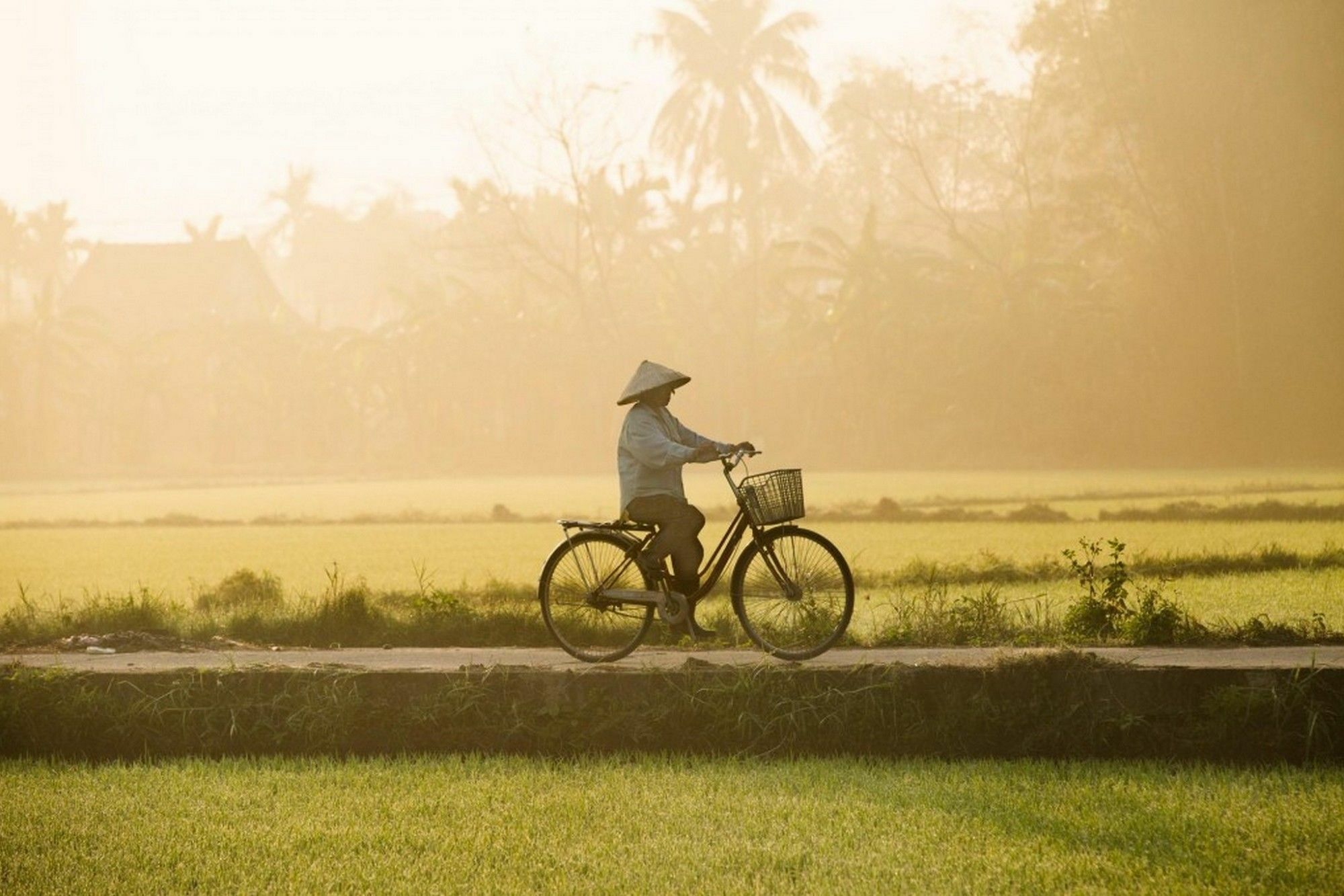 Cam Nam Homestay Hoi An Dış mekan fotoğraf